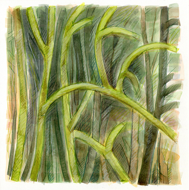 watercolor painting by Alexandria Levin