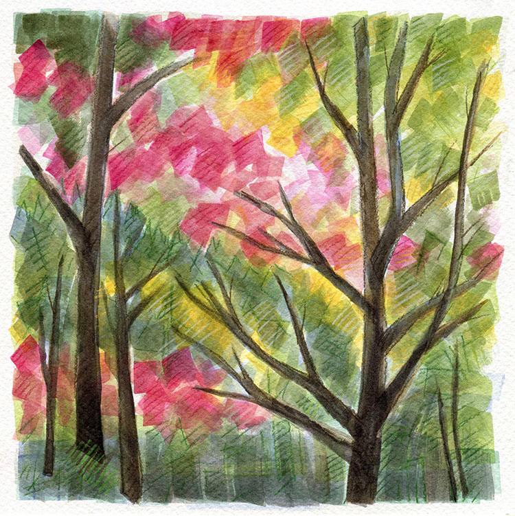 watercolor painting by Alexandria Levin