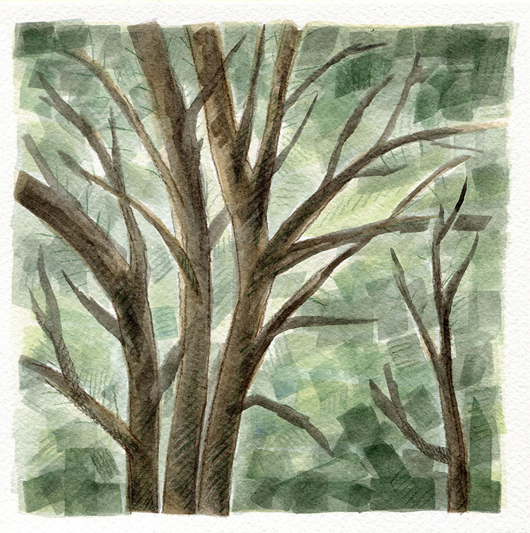 watercolor painting by Alexandria Levin