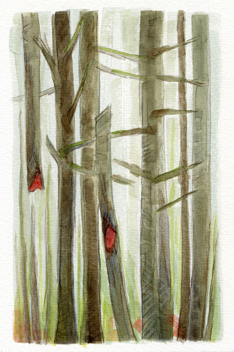 watercolor painting by Alexandria Levin